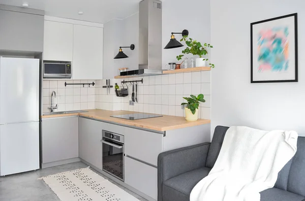 Estilo Interior Escandinavo Estúdio Moderno Pequeno Apartamento Cores Brancas Cinza Fotografia De Stock