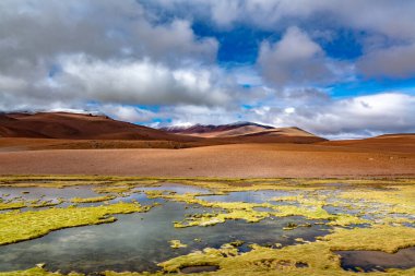 Atacama Çölü savanası, dağlar ve volkan manzarası, Şili, Güney Amerika