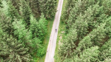 Orman yolu manzarasında bisiklet süren bisikletçinin hava aracı görüntüsü, pistte bisiklet süren bir adam, spor ve açık havada spor yapıyor.