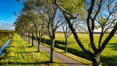 Bisiklet yolu ve ağaçların arasındaki kır yolu yukarıdan hava aracı manzarası, bisikletler için güzel bisiklet yolu, Hollanda 'nın tipik kırsal manzarası