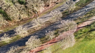 Ağaçlar arasında bisiklet yolu ve yol yukarıdan hava aracı görüntüsü, bisikletler için bisiklet yolu, Hollanda 'da tipik şehir ulaşım altyapısı