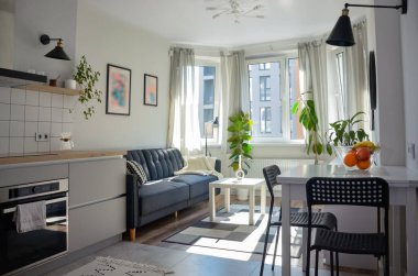 İskandinav tarzı modern stüdyo beyaz ve gri renkli küçük daire, oturma alanı ve mutfak alanında mobilya