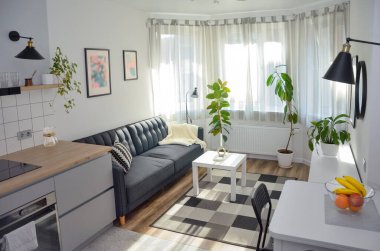 Scandinavian interior style modern studio small apartment in white and grey colors, furniture in living area and kitchen area