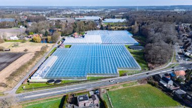 Yukarıdan insansız hava aracı arka planı, sebze yetiştirmek için büyük sanayi seraları, modern ekili cam ev alanı, Hollanda 'da tarım