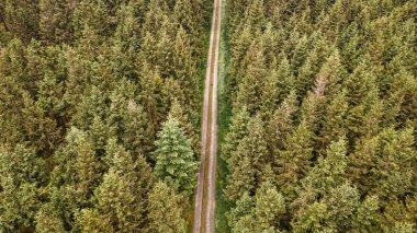 Orman yolunun hava aracı görüntüsü, ağaçların en üst görüntüsü ve yukarıdan doğa manzarası, orman arka planı.
