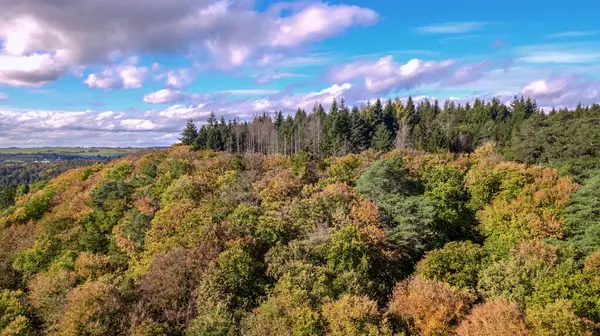 Ardennes Dağları 'nın sonbahar manzarası, tepeler ve sonbahar ormanı Mullerthal Yolu, Lüksemburg