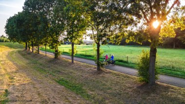 Ağaçların arasından bisiklet yolunda bisikletle geçen yaşlı insanlar yukarıdan hava aracı manzarası, güzel bisiklet yolu, Hollanda 'nın tipik kırsal manzarası ve Hollanda' nın bisikletli bisikletçileri.