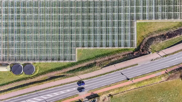 Yukarıdan insansız hava aracı arka planı, sebze yetiştirmek için büyük sanayi seraları, modern ekili cam ev alanı, Hollanda 'da tarım