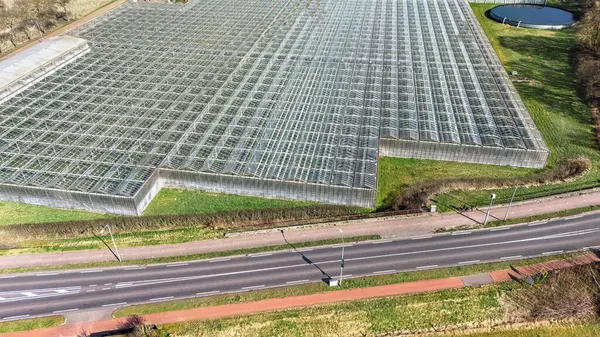 Yukarıdan insansız hava aracı arka planı, sebze yetiştirmek için büyük sanayi seraları, modern ekili cam ev alanı, Hollanda 'da tarım