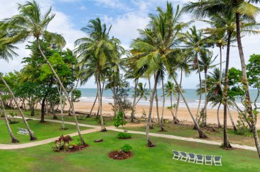 Güzel tropikal plaj, okyanus ve palmiye ağaçları otelden manzaralı tatil konsepti
