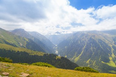 Dağ yaz manzarası. Karlı dağlar ve yeşil çimenler. Zirve Karakolu Kırgızistan.