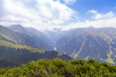 Dağ yaz manzarası. Karlı dağlar ve yeşil çimenler. Zirve Karakolu Kırgızistan.