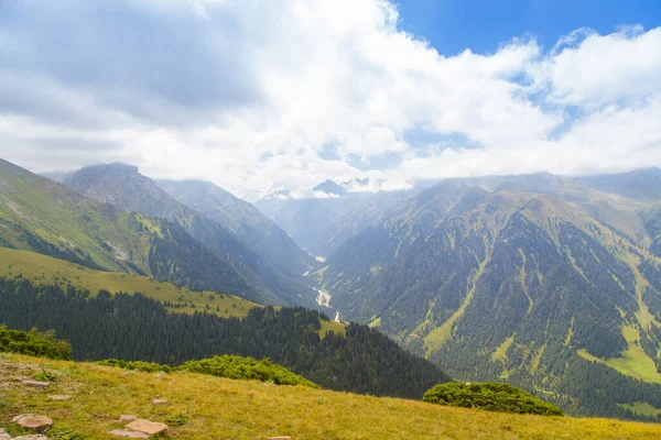 Bergsommerlandschaft Schneebedeckte Berge Und Grünes Gras Gipfel Karakol Kyrgyzstan — Stockfoto