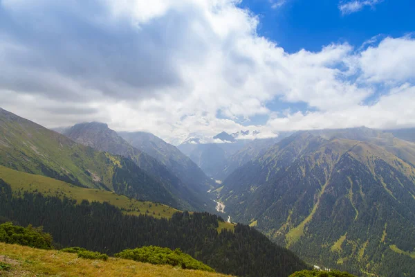 Bergsommerlandschaft Schneebedeckte Berge Und Grünes Gras Gipfel Karakol Kyrgyzstan — Stockfoto