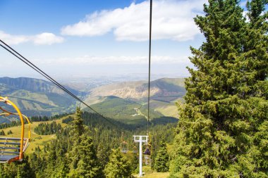 Dağlarda yüksek yaz dağları manzarası. Noel ağaçlarının uzun ağaçları