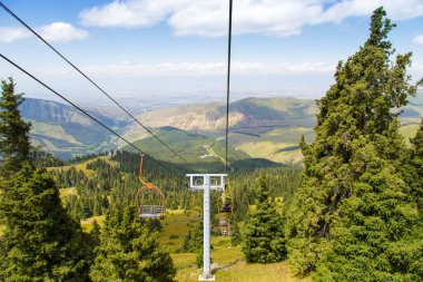 Dağlarda yüksek yaz dağları manzarası. Noel ağaçlarının uzun ağaçları