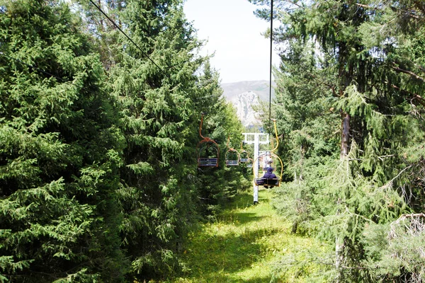 Dağlarda Yüksek Yaz Dağları Manzarası Noel Ağaçlarının Uzun Ağaçları — Stok fotoğraf