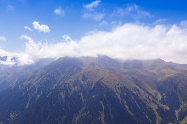 Dağ yaz manzarası. Karlı dağlar ve yeşil çimenler. Zirve Karakolu Kırgızistan.