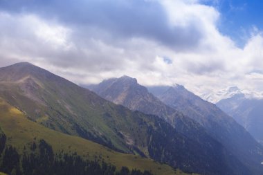 Dağ yaz manzarası. Karlı dağlar ve yeşil çimenler. Zirve Karakolu Kırgızistan.