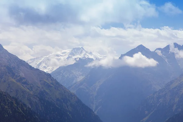 stock image Mountain summer landscape. Snowy mountains and green grass. Peak Karakol Kyrgyzstan.