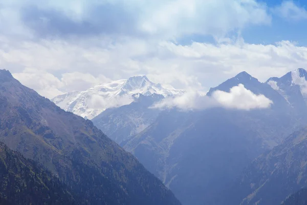 stock image Mountain summer landscape. Snowy mountains and green grass. Peak Karakol Kyrgyzstan.