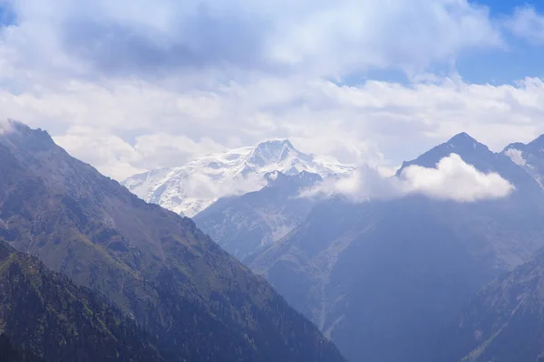 stock image Mountain summer landscape. Snowy mountains and green grass. Peak Karakol Kyrgyzstan.