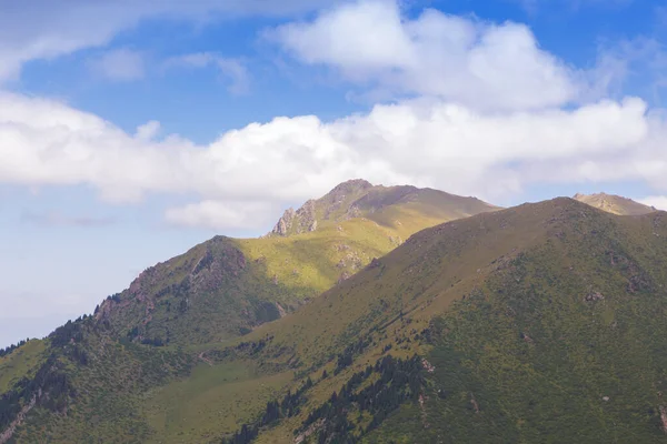 Paysage Été Montagne Montagnes Enneigées Herbe Verte Peak Karakol Kirghizistan — Photo
