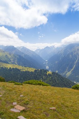 Dağ yaz manzarası. Karlı dağlar ve yeşil çimenler. Zirve Karakolu Kırgızistan.
