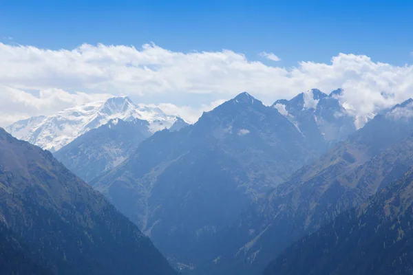 stock image Mountain summer landscape. Snowy mountains and green grass. Peak Karakol Kyrgyzstan.