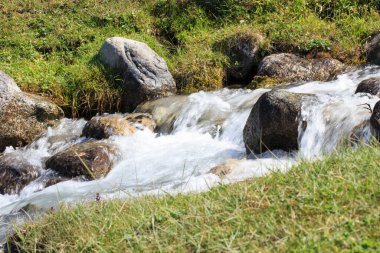 Temiz suyla akarsu. Taşların arasındaki dağ nehri. Yaz manzarası.