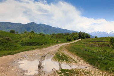 Güzel bahar ve yaz manzarası. Yeşil tepelerin arasındaki dağ yolu. yemyeşil tepeler, yüksek dağlar.