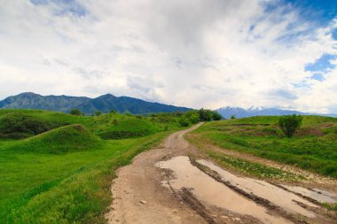 Güzel bahar ve yaz manzarası. Yeşil tepelerin arasındaki dağ yolu. yemyeşil tepeler, yüksek dağlar.