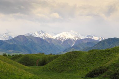 Güzel bahar ve yaz manzarası. Bereketli yeşil tepeler, yüksek dağlar. Bahar çiçekli bitkiler. Kırgızistan Turizm Arkaplanı.