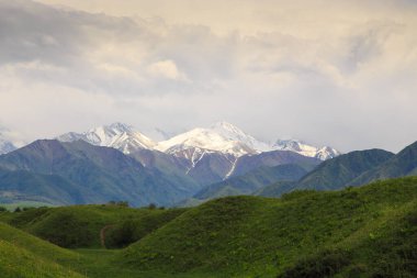 Güzel bahar ve yaz manzarası. Bereketli yeşil tepeler, yüksek dağlar. Bahar çiçekli bitkiler. Kırgızistan Turizm Arkaplanı.