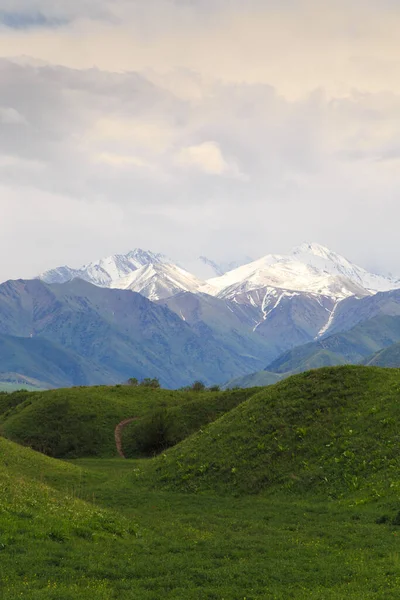 Schöne Frühlings Und Sommerlandschaft Saftig Grüne Hügel Hohe Berge Frühlingsblühende — Stockfoto