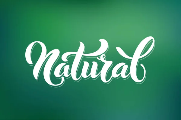 Naturalne Logo Wizerunek Wektorowy Etykiet Żywności Emblematy Pakowania Zdrowej Żywności — Wektor stockowy