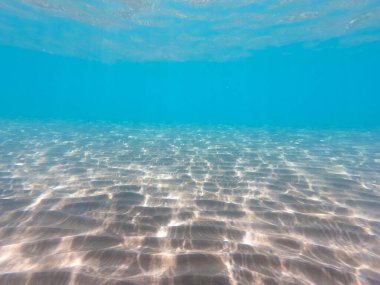 Kumlu deniz dibi deniz yaşamı, sualtı geçmişi. Temiz su.