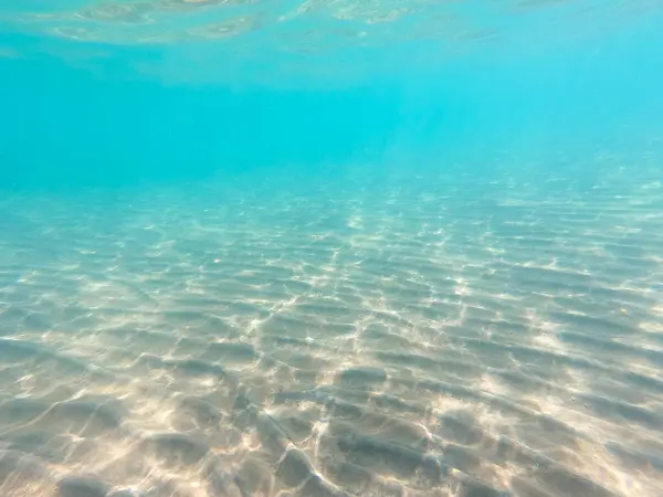 Piaszczyste Dno Morskie Życie Morskie Podwodne Tło Czysta Woda — Zdjęcie stockowe