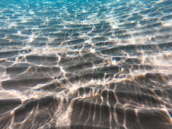 Морская Жизнь Песчаном Дне Подводный Фон Чистая Вода — стоковое фото