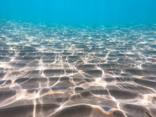 Piaszczyste Dno Morskie Życie Morskie Podwodne Tło Czysta Woda — Zdjęcie stockowe