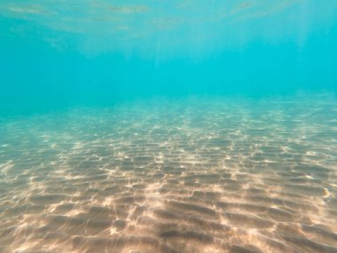 Kumlu deniz dibi deniz yaşamı, sualtı geçmişi. Temiz su.