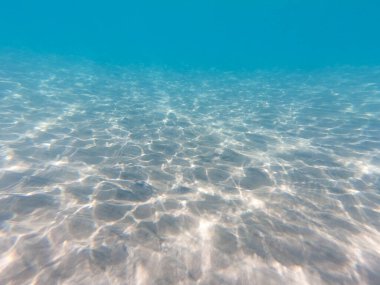 Kumlu deniz dibi deniz yaşamı, sualtı geçmişi. Temiz su.