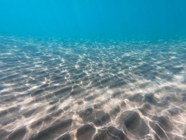 Kumlu deniz dibi deniz yaşamı, sualtı geçmişi. Temiz su.