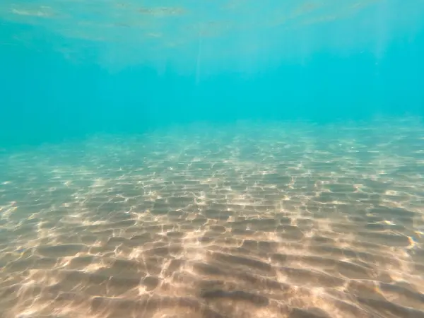 サンディー海底の海洋生物 水中背景 クリアウォーター — ストック写真