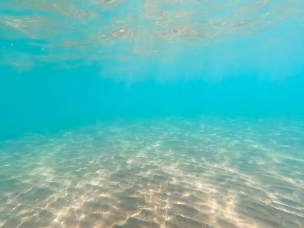 Sandy Sea Bottom Marine Life Underwater Background Clear Water — Stock Photo, Image
