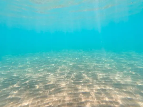 Морская Жизнь Песчаном Дне Подводный Фон Чистая Вода — стоковое фото