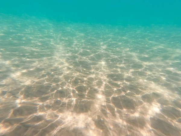 サンディー海底の海洋生物 水中背景 クリアウォーター — ストック写真