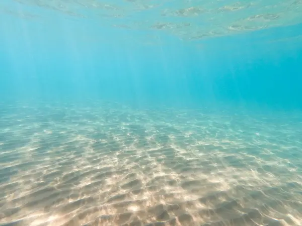 Sandiger Meeresgrund Meeresleben Unterwasserhintergrund Klares Wasser — Stockfoto