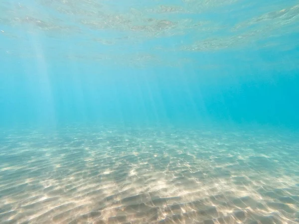 Zandbodem Marine Leven Onderwater Achtergrond Helder Water — Stockfoto