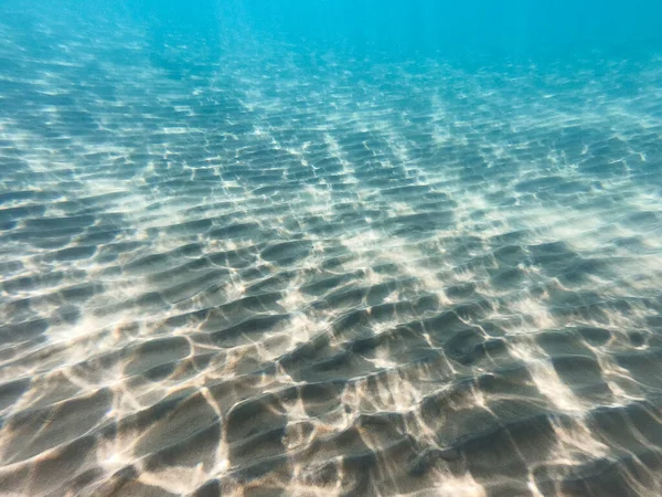 Písečné Mořské Dno Mořský Život Podvodní Pozadí Čistá Voda — Stock fotografie